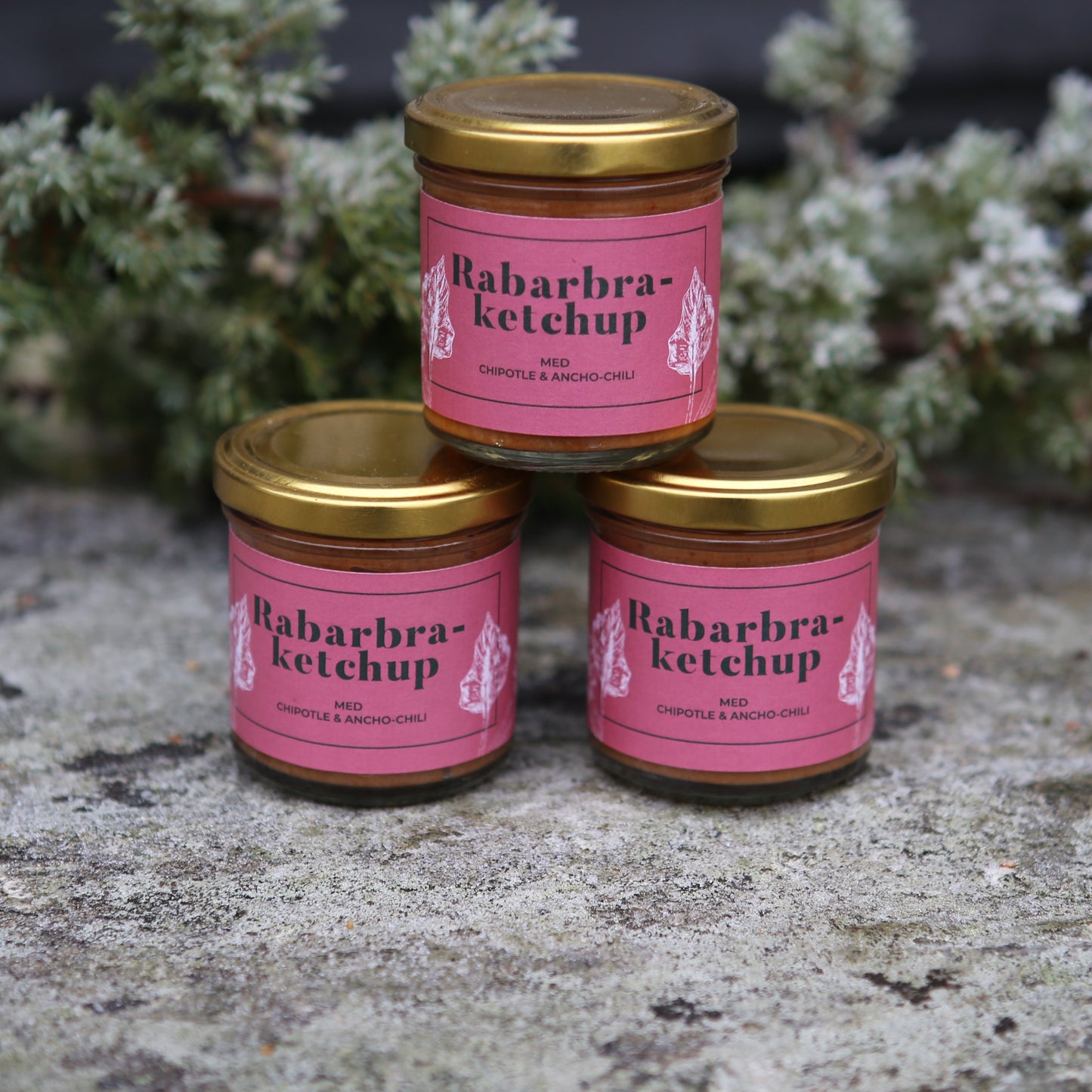 Rabarbra-ketchup